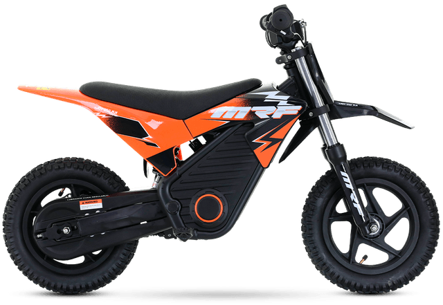eJOY 250 MX